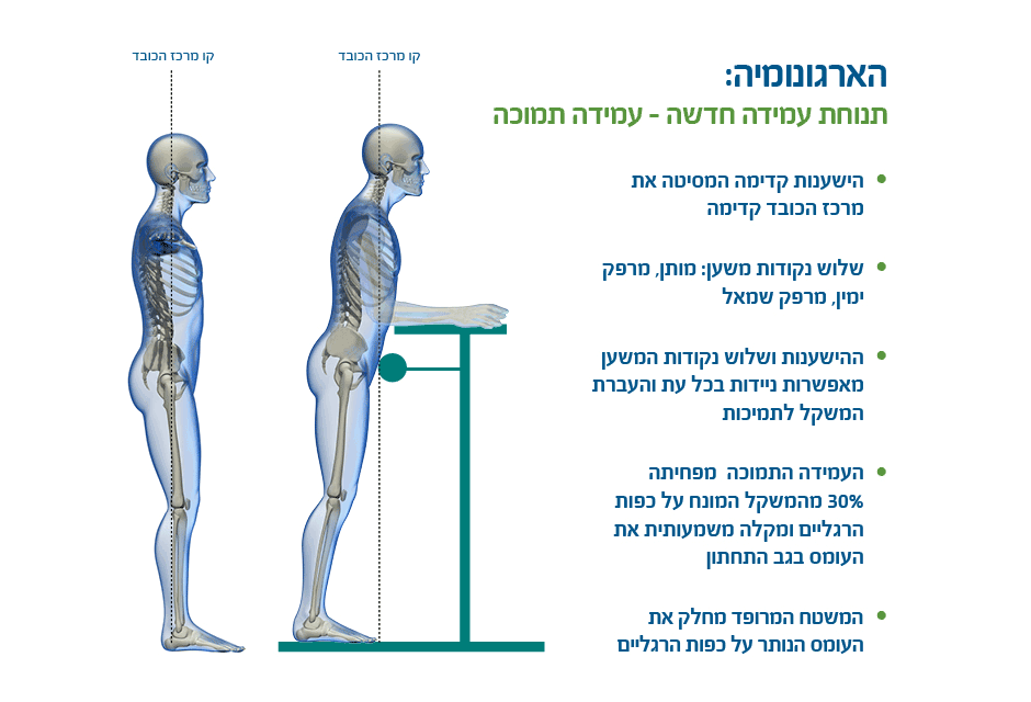 Ergonomic-2015